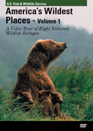 photo on cover of DVD showing grizzly sow with two cubs in Alaska credit Larry Aumiller Alaska Fish and Game