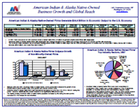 Most Recent Fact Sheet on American Indian & Alaska Native-Owned Business