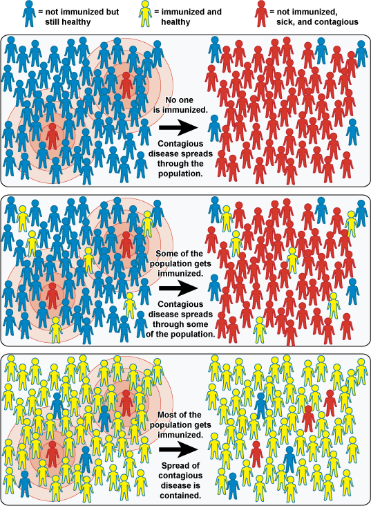 Illustration of Community Immunity (also known as “herd” immunity)
