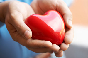 heart shaped toy being held in 2 hands