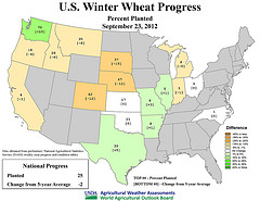 Winter Wheat Planted Change from 5-year Average Color