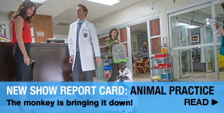 Animal Practice New Show Report Card: The monkey is bringing it down!