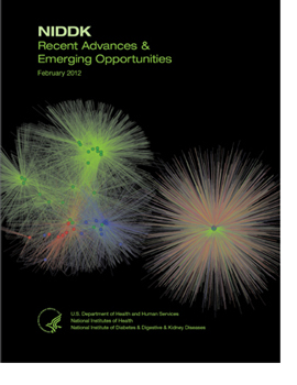 Cover image for the NIDDK Recent Advances and Emerging Opportunities - February 2012