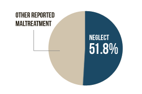 A pie graph showing neglect (51.8%) as the most common form of reported maltreatment in 2008.