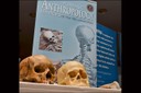 The FBI’s forensic anthropologists were on hand at our recent Science and Technology Branch exhibit at FBI Headquarters. The forensic anthropology program, begun in 2010, involves the analysis of human skeletal remains to determine, among other things, how and when someone may have died. For more information about the program, visit http://www.fbi.gov/stats-services/publications/law-enforcement-bulletin/august-2010/forensic-update.