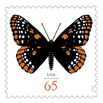 Baltimore Checkerspot (Butterfly) 65&cent;