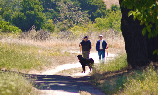 Charles Cody, Mike Bolion and dog 'Flattie' walk one of the trails along Toro Creek Road in Salinas, CA.