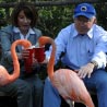 Secretary Salazar feeding flamingos at the San Diego Zoo