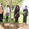 First Lady Michelle Obama planting a Cherry Blossom Tree.