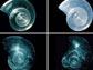Images showing dissolution of shells placed in seawater with increased acidity.