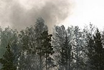 A wildfire producing smoke.
