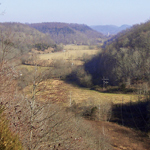 Knob Creek Valley from the Overlook Trail