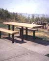 accessible picnic table