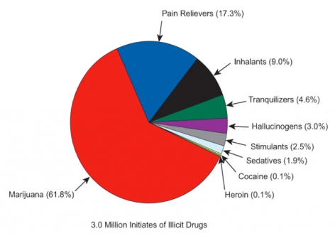 Pie-chart showing that of 3.0 million new users of illicit drugs Marijuana is the most used at 61.8%. Others include Prescription Pain Relievers at 17.3%, Inhalants at 9.0%, Tranquilizers at 4.6%, Hallucinogens at 3.0%, Stimulants at 2.5%, Sedatives at 1.9%, Cocaine at 0.1% and Heroin at 0.1%.