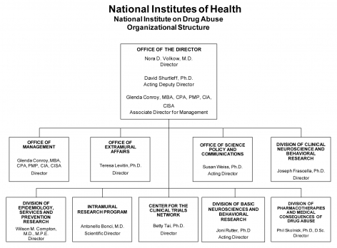 2013 Organizational Structure