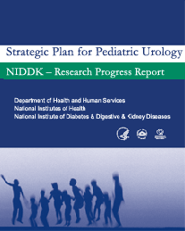 Strategic Plan for Pediatric Urology: NIDDK Research Progress Report