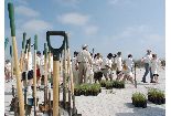 Earth Day Coastal Planting at Holly Beach