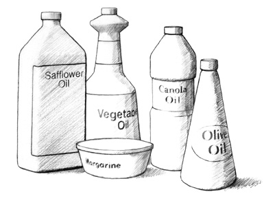 Drawing of vegetable oils. Four bottles are labeled 