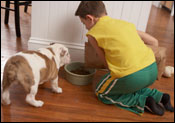 un niño dando de comer a su perro
