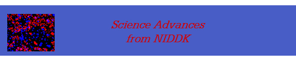 Science Advances from NIDDK Banner