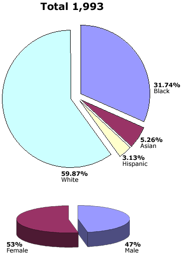Employee Profile -  Total 1,993, Female 53%, Male 47%, White 59.87%, Black 31.74%, Asian 5.26%, Hispanic 3.13%