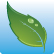 Image of a green leaf with the text DOE Strategic Sustainability Performance Plan (SSPP)