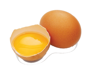 Egg Split In Half
