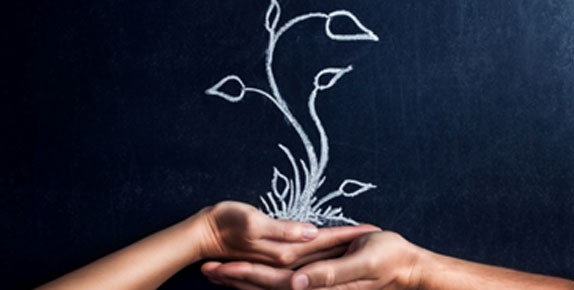 Image of two hands joined with a plant growing from the palms.