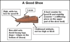 Characteristics of a good shoe. - Click to enlarge in new window.