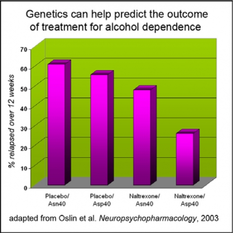 Genetics can help predict the outcome of treatment for alcohol dependence graph