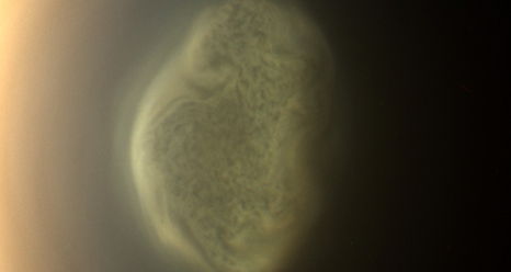 True color image of Titan