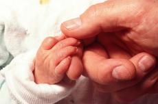 Photograph of a baby's hand holding an adult's hand