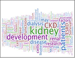 Kidney Research National Dialogue word cloud