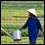 Photo: A farmer with a watering can