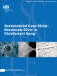 Cover of the Nanoscale Silver  Final report