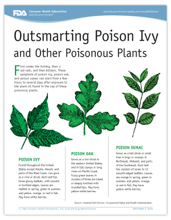 Cover page of PDF version of Outsmarting Poison Ivy and Other Poisonous Plants article, including illustrations of poison ivy, poison oak, and poison sumac