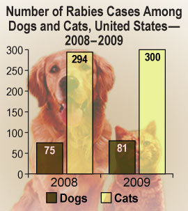 Chart: Number of Rabies Cases Among Dogs and Cats, United States, 2008-2009