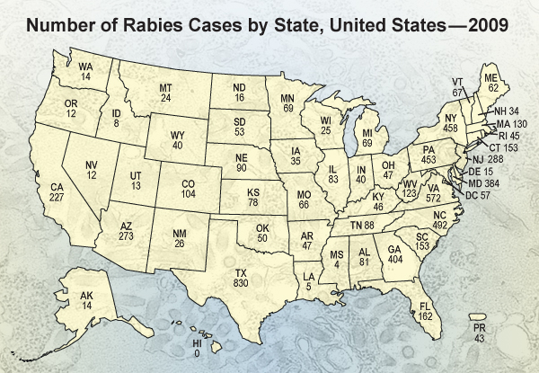 CChart: Number of Rabies Cases by State, United States --- 2009. AL – 81; AK – 14; AZ – 273; AR – 47; CA – 227; CO – 104; CT – 153; DC – 57; DE – 15; FL – 162; GA – 404; HI – 0; ID – 8; IL – 83; IN – 40; IA – 35; KS – 78; KY – 46; LA – 5; ME – 62; MD – 384; MA – 130; MI – 69; MN – 69; MS – 4; MO – 66; MT – 24; NE – 90; NV – 12; NH – 34; NJ – 288; NM – 26; NY – 458; NC – 492; ND – 16; OH – 47; OK – 50; OR – 12; PA – 453; PR – 43; RI – 45; SC – 153; SD – 53; TN – 88; TX – 830; UT – 13; VT – 67; VA – 572; WA – 14; WV – 123; WI – 25; WY – 40. 