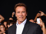 Arnold Schwarzenegger Brigitte Nielsen Affair