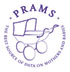 PRAMS icon baby buggy
