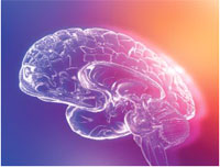 CDC Heads Up to Brain Injury Awareness