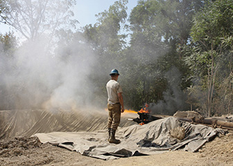 Forest and conservation technicians