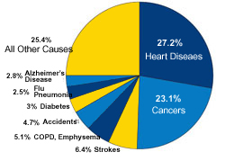 Causes of Death in U.S.