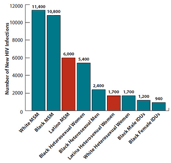 Shown here is a vertical bar chart entitled, “Estimates of New HIV Infections in the United States, 2009, for the Most-Affected Subpopulations”.
						
White MSM = 11,400
Black MSM = 10, 800
Women = 6,000
Latino MSM = 5,400
Black Heterosexual Men =2,400
White Heterosexual Women = 1,700
Black Male IDUs = 1,700
Latina Heterosexual Women = 1,200
Black Female IDUs =940
Subpopulations representing 2% or less of the overall US epidemic are not reflected in this chart.