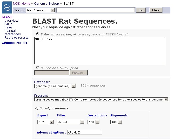 BLAST RAT Sequences page