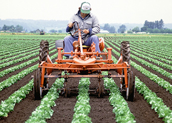 Farmers, ranchers, and other agricultural managers