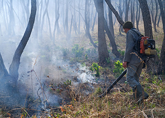 Forest and conservation workers