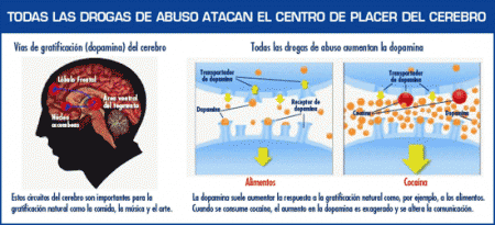 La imagen muestra cómo el abuso de drogas afecta el centro de placer del cerebro. Ciertas drogas pueden liberar hasta diez veces más la cantidad de dopamine que el cerebro produce naturalmente, es por eso que son tan adictivas.   