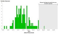 Persons infected with the outbreak strain of Salmonella Braenderup, by date of illness onset