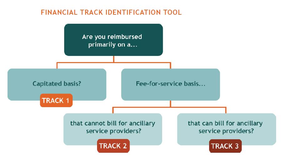 The Financial Track Identification tool explains reimbursement practices based on a capitated, fee-for-service and fee-for-service structure. The tool asks 'Are you reimbursed primarily on a...' (select one of two options): Capitated basis, Track 1; or Fee-for-service basis... (select one of two options): that cannot bill for ancillary service providers, Track 2; or, that can bill for ancillary service providers, Track 3.